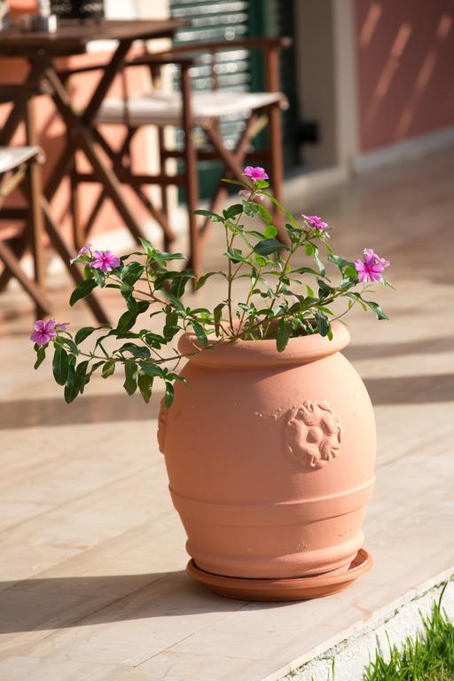 Nikodimos Garden Studios Agios Georgios  Ngoại thất bức ảnh