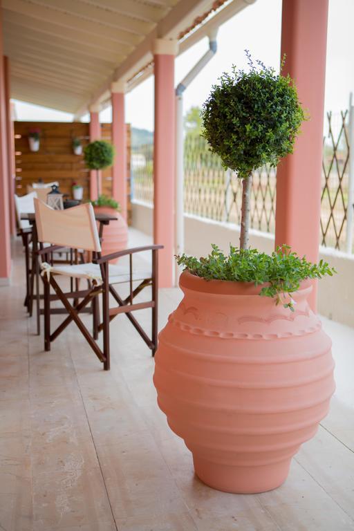 Nikodimos Garden Studios Agios Georgios  Ngoại thất bức ảnh